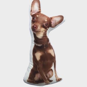 UnusualStandout Personalized Pet Photo Pillow