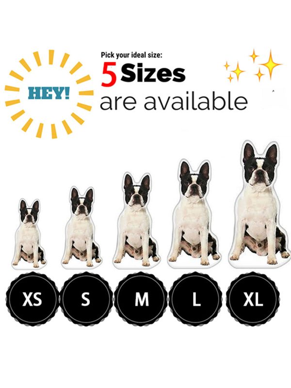 UnusualStandout Personalized Pet Photo Pillow