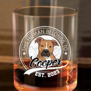 UnusualStandout #124 Personalized Custom Pet Portrait Beer Mug