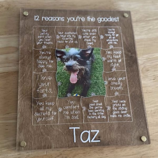 UnusualStandout # 16 12 Reasons You're the Goodest Dog Picture Frame