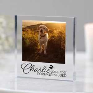 UnusualStandout #191 Personalized Pet Memorial Photo Keepspake