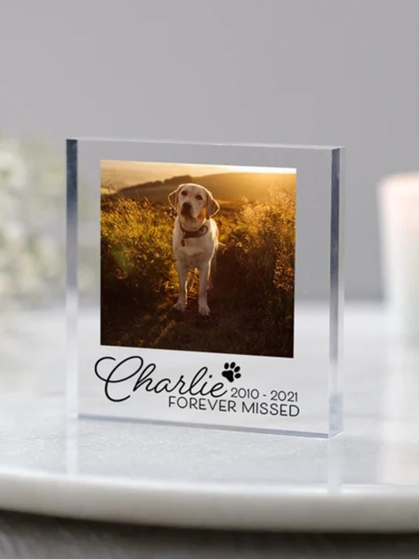 UnusualStandout #191 Personalized Pet Memorial Photo Keepspake