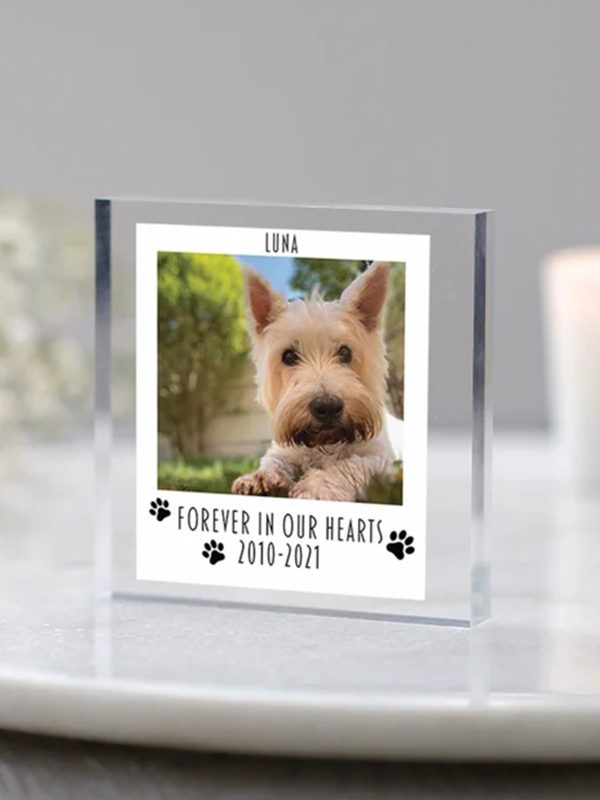 UnusualStandout #193 Personalized Memorial Plaque Pet Loss Photo Gift