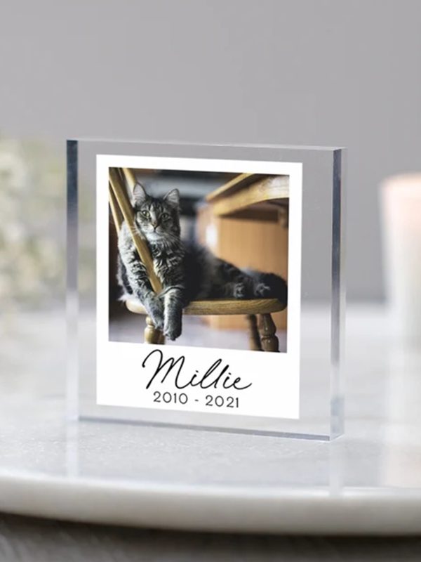 UnusualStandout #194 Personalized Cat Memorial Photo Acrylic Keepsake