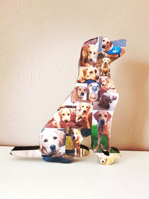 UnusualStandout #97 Personalized Pet Photo Collage Frame For Home Decoration