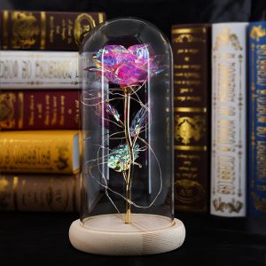 UnusualStandout #770 Personalized Everlasting Flower Snowman Name Lamp