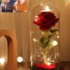 UnusualStandout #826 Personalized Rose Line Drawing Night Light