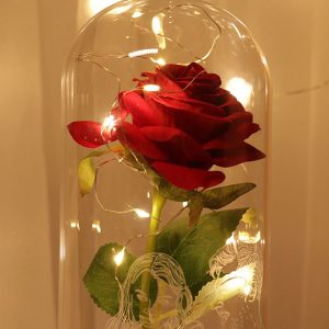 UnusualStandout #826 Personalized Rose Line Drawing Night Light